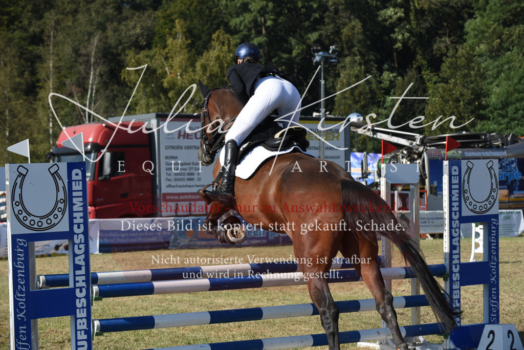 DSC_5402 | Pferde- und Turnierfotografie in Westsachsen. Pferdeportraits, Auftragszeichnungen und intuitive Kunst.