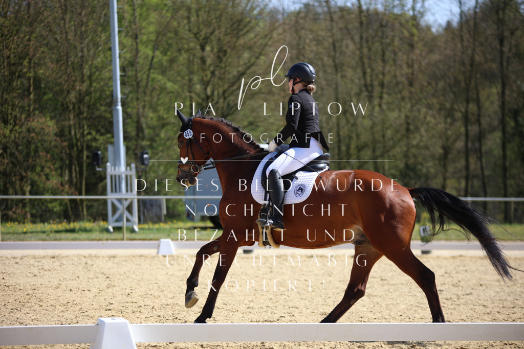 IMGT1989 | pl-fotografie