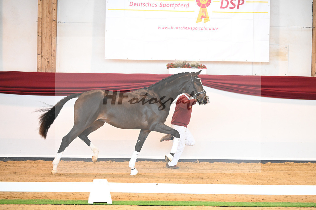 Kat-Nr. 31 v. Ferrantino_Lehner_66221793 | hf-fotografie - Realisiert mit Pictrs.com