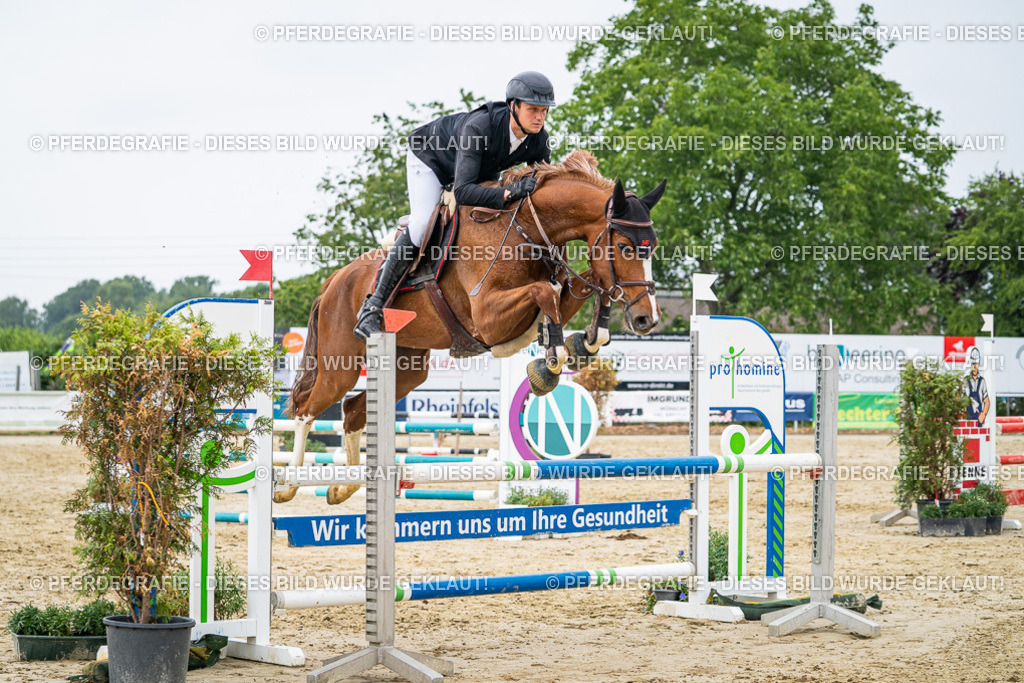 DSC00704 | Pferdegrafie