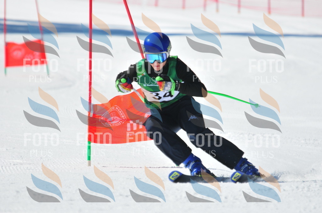 C3554 | holidayphoto