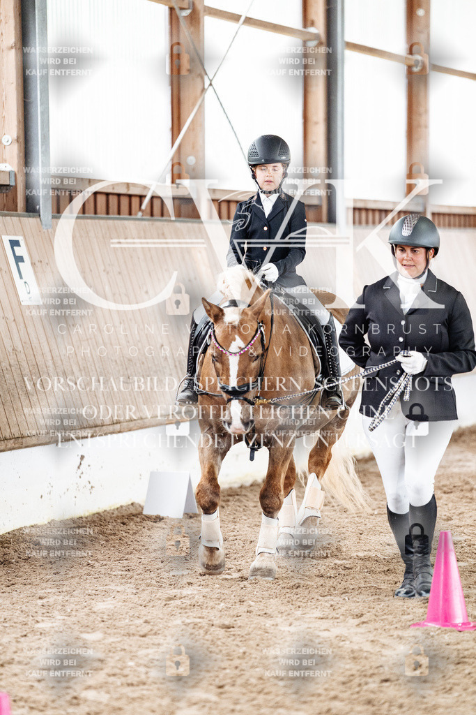 CK902431 | Turnierfotografie Pferdefotografie Trier Rheinland-Pfalz Pferdesport Reitsport Tierfotografie Sportfotografie Pferdevideo Pferdevideografie Equestrianvideography equestrianphotography  - Realisiert mit Pictrs.com