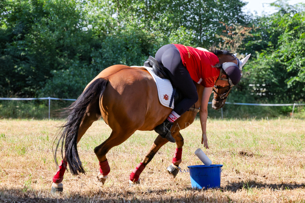 1B3A7831 | Reitsport Reiten