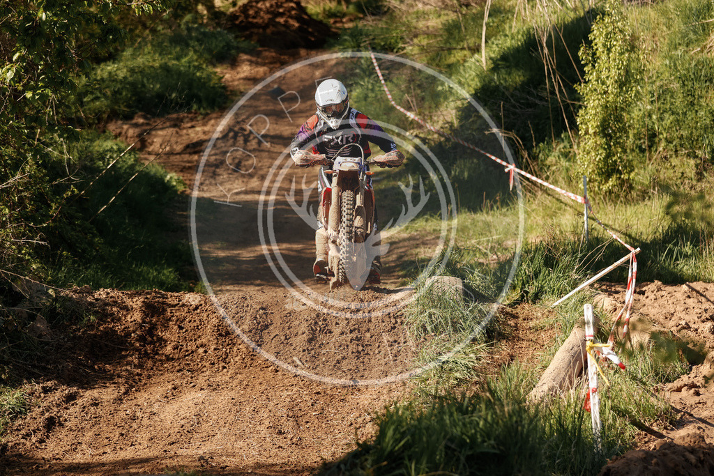 RottlebenIGE25_Lauf3-458 | koppe-media
