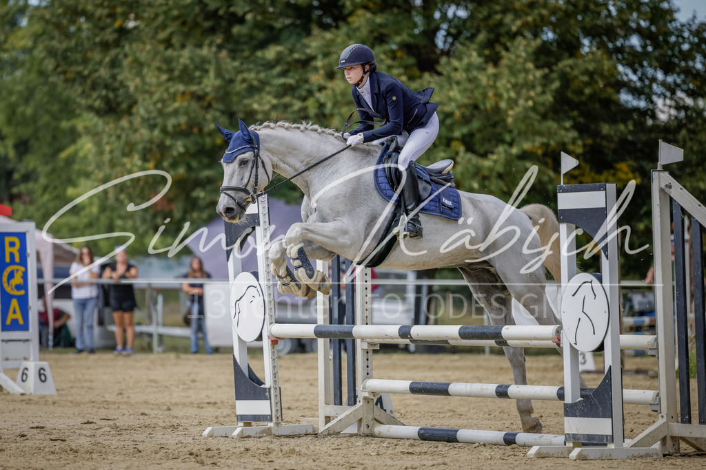 20250906-_3LI6164 | Tierfotografie Pferde, Hunde, Katzen, Haustiere.
Turnierfotografie Reitturniere, Reiten, Springreiten, Dressur in Hanau, dem Main-Kinzig-Kreis und dem Rhein-Main- Gebiet um Frankfurt
