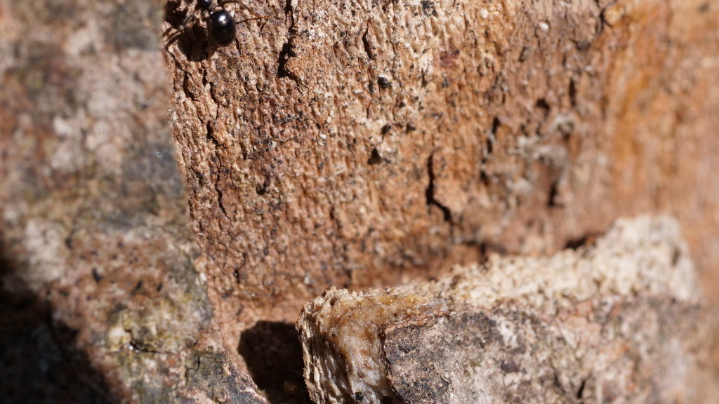 P1077025 | klausulrichmoeller