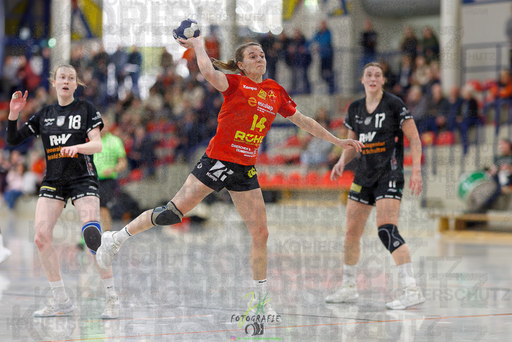 Frauen Regionalliga (HHV); HSG Wettenberg - HSG Twistetal | Frauen Regionalliga (HHV); HSG Wettenberg - HSG Twistetal am 08.11.2025 in Launsbach (Wettenberg) (Halle GS Launsbach (Wettenberg))Photo © 2025 - Jörg Heinrich - Realisiert mit Pictrs.com