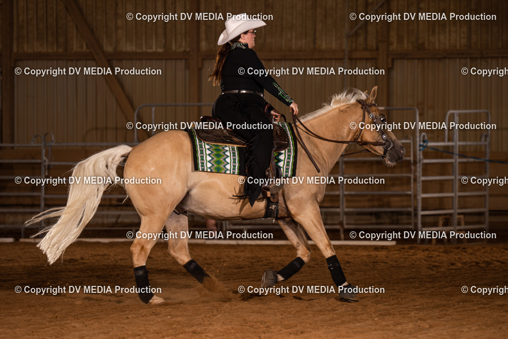 NID01101 | dv-media-shop - Realisiert mit Pictrs.com