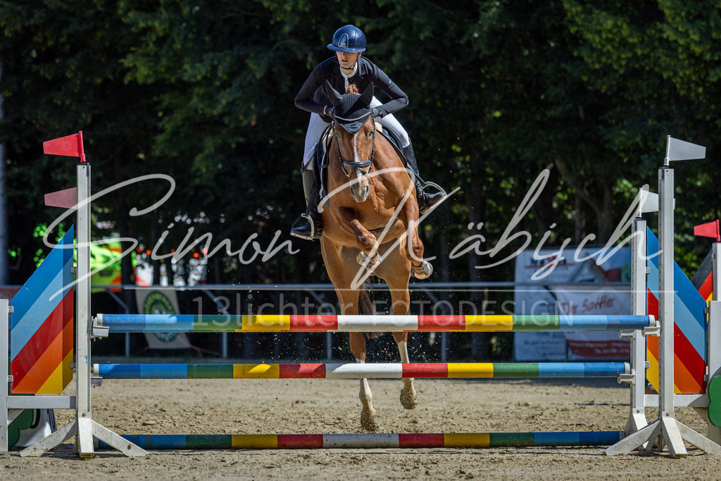 20260704-_3LI7541 | Tierfotografie Pferde, Hunde, Katzen, Haustiere.
Turnierfotografie Reitturniere, Reiten, Springreiten, Dressur in Hanau, dem Main-Kinzig-Kreis und dem Rhein-Main- Gebiet um Frankfurt