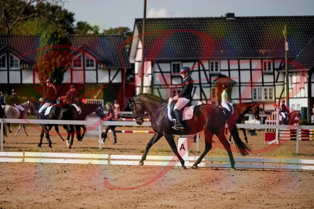 2026_10_03_Siefer-Hof_121442_Z63_39936249 | Professionelle Reitsport-, Turnier- und Eventfotografie von Robert Broda. Galerien mit ausgewählten und bearbeiteten Bildern direkt online ansehen und bestellen.