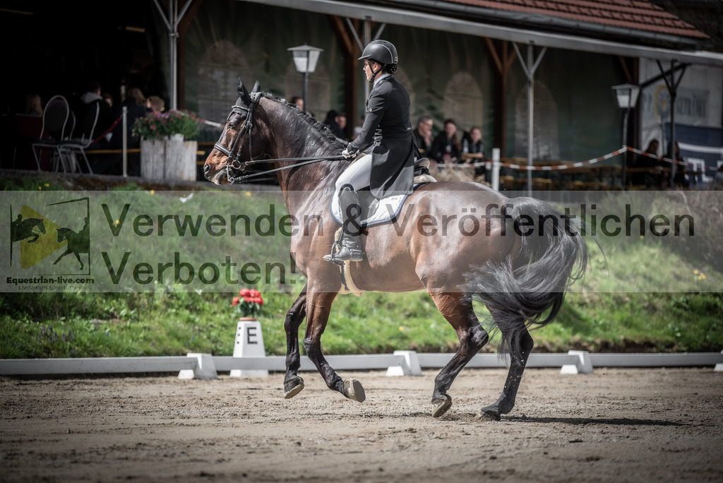 DSC_2933 | equestrian-live-com