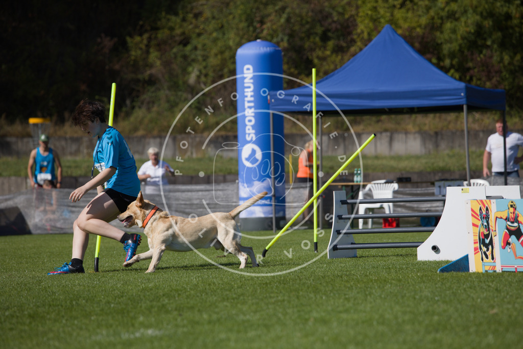 0L8A7616 | Hundefotografie, Tierfotograf, Pfotenfotografie, Fotoshooting Hund, Hunde Portrait, Hundesport, Hundeportraits, Heideshooting, Hunde, Sportfotograf, Hundefotograf, Turnierhundsport, THS,  - Realisiert mit Pictrs.com