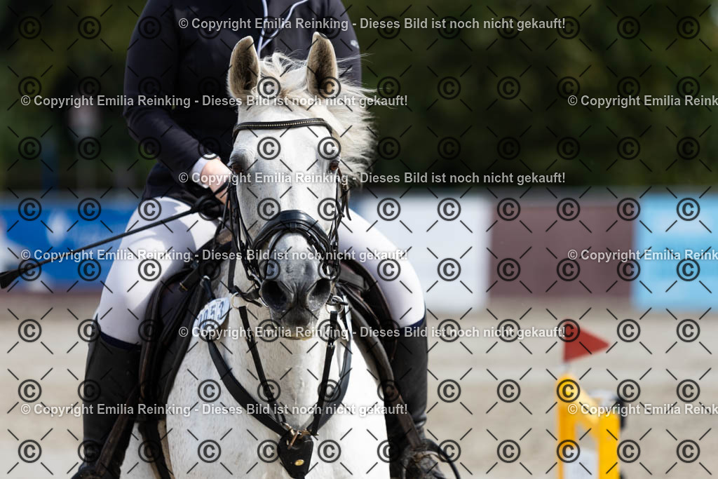 CL5A3718 | Emilia Reinking Fotografie - Realisiert mit Pictrs.com