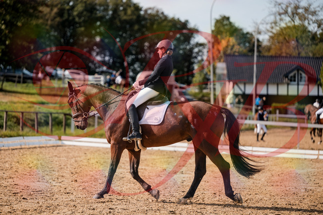 2026_10_03_Siefer-Hof_130513_Z63_68579057 | Professionelle Reitsport-, Turnier- und Eventfotografie von Robert Broda. Galerien mit ausgewählten und bearbeiteten Bildern direkt online ansehen und bestellen.