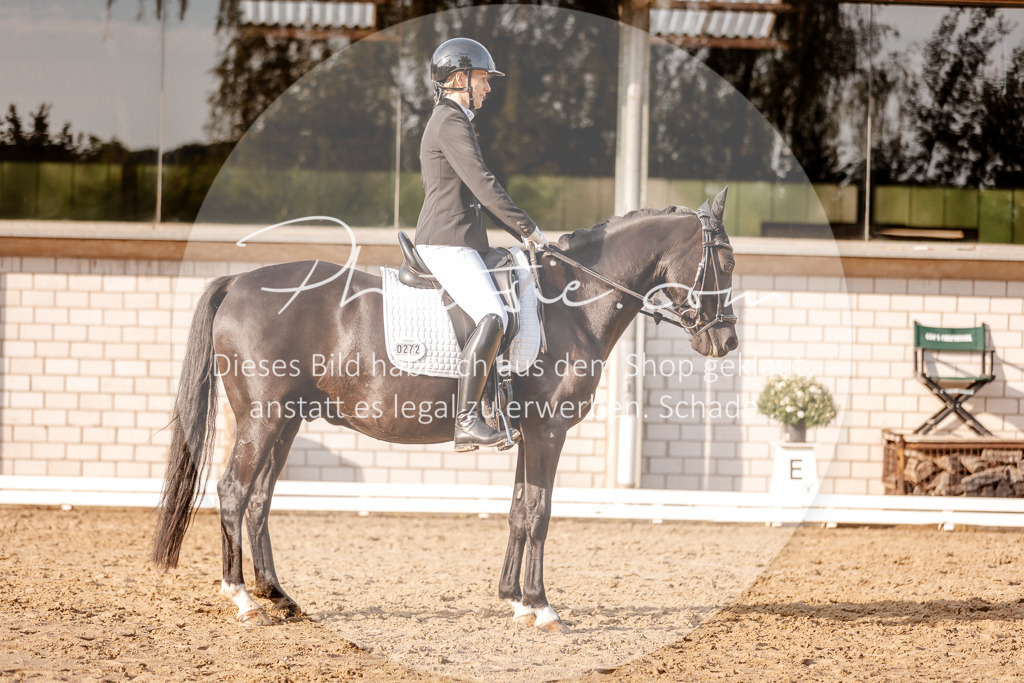 3I6A2571 | Stimmungsvolle Portraits und Reitsportfotografie im Ruhrgebiet und im Münsterland.

Pferdefotografie, Hundefotografie, Tierfotografie, Reportagen, Portraits von Tier und Mensch, Turnierfotografie in Bochum, Recklinghausen, Marl, Haltern am See, Dülmen.. - Realisiert mit Pictrs.com