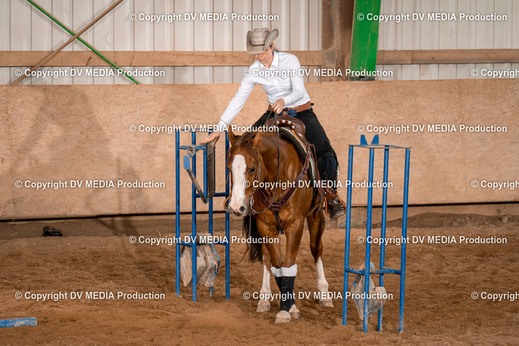 BA400818 | dv-media-shop - Realisiert mit Pictrs.com