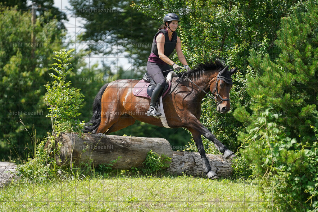 20240622-FAH07767 | Turnierfotografen Bayern, Reitsportbilder aus dem Geländekurs mit Felix Etzel auf dem Gut Waitzacker 2024