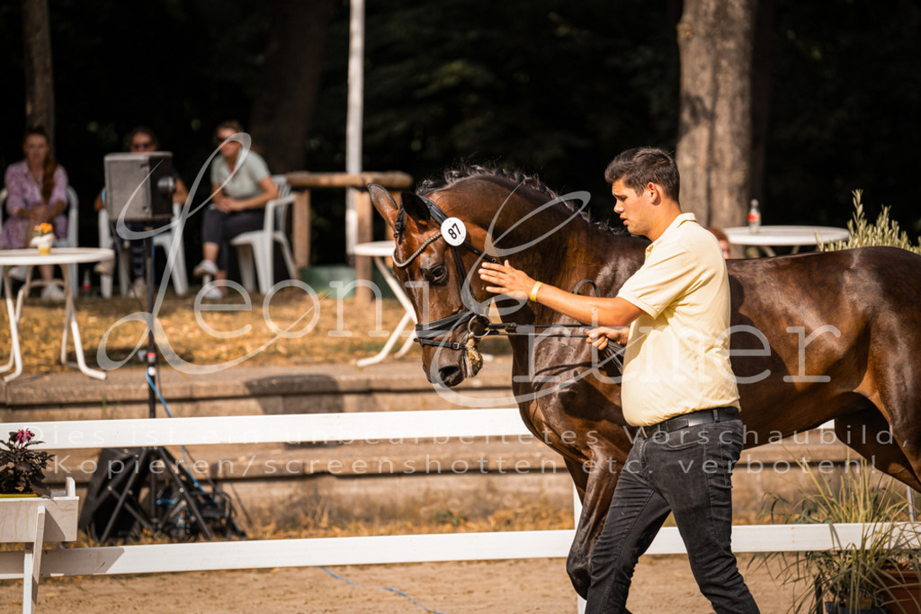 FrER00196 | Leoni Ertmer Photography - Realisiert mit Pictrs.com