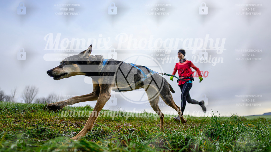 MompixPhotography_Staufertrail2024_SO_Canicross-2 | PayLife