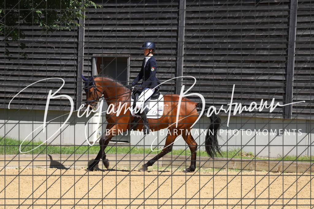 IMG_6474 | Benjamin Bartmann Photomoments