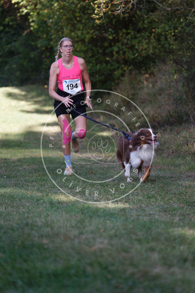 0L8A5551 | Hundefotografie, Tierfotograf, Pfotenfotografie, Fotoshooting Hund, Hunde Portrait, Hundesport, Hundeportraits, Heideshooting, Hunde, Sportfotograf, Hundefotograf, Turnierhundsport, THS,  - Realisiert mit Pictrs.com