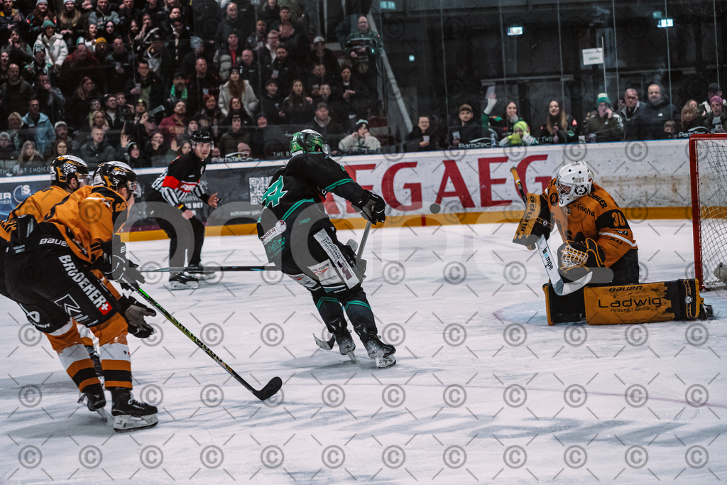 Alligators_vs_Fuessen_06_03_2026_PP-39 | Höchstadt Alligators Fotogalerie: Eishockey-Action aus Franken. Professionelle Spielfotos, Portraits & Stadionbilder zum Download. Jetzt entdecken! - Realisiert mit Pictrs.com