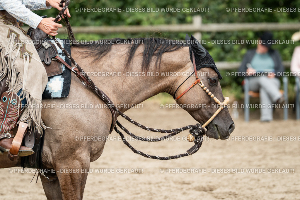 DSC02357 | Pferdegrafie