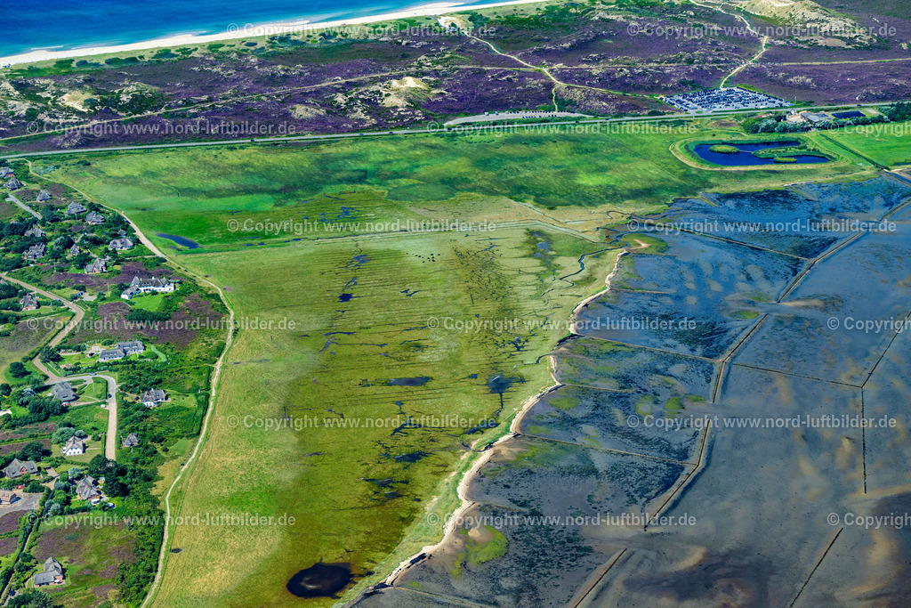 Sylt_Kampen_Ostseite_Salzwiesen_ELS_4393130825 | KAMPEN (SYLT) 13.08.2025 Salzwiesen und Heide- Landschaft in Kampen (Sylt) im Bundesland Schleswig-Holstein, Deutschlan. // Salt marshes and heath landscape in Kampen (Sylt) in the federal state of Schleswig-Holstein, Germany. Foto: Martin Elsen