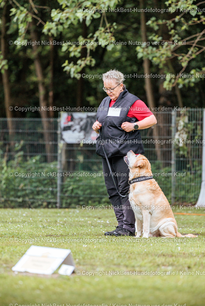 RO-Blumenthal-2026-Nickbest-Hundefotografie-0735 | Dein Hund! Dein Moment! Deine Erinnerungen! Hundefotografie in Bremen Blumenthal. Ich fange die besonderen Momente deines Vierbeiners ein – ob Indoor mit Blitzanlage oder in der freien Natur. Sicher dir dein Moment und dein Termin für eure Erinnerungen.