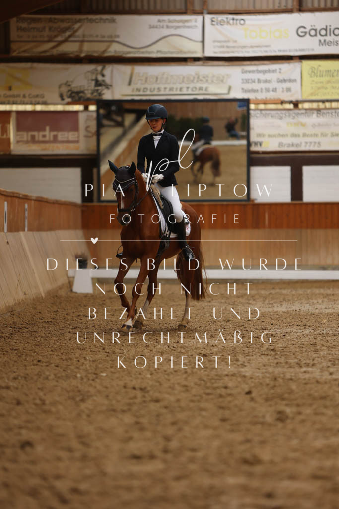 IMGM5428 | pl-fotografie