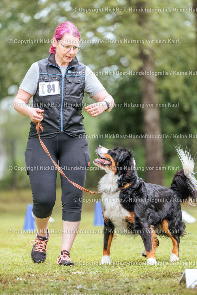 RO-Blumenthal-2026-Nickbest-Hundefotografie-3848 | Dein Hund! Dein Moment! Deine Erinnerungen! Hundefotografie in Bremen Blumenthal. Ich fange die besonderen Momente deines Vierbeiners ein – ob Indoor mit Blitzanlage oder in der freien Natur. Sicher dir dein Moment und dein Termin für eure Erinnerungen.