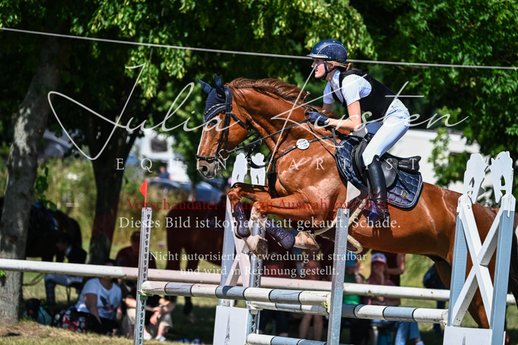 DSC_1174 | Pferde- und Turnierfotografie in Westsachsen. Pferdeportraits, Auftragszeichnungen und intuitive Kunst.