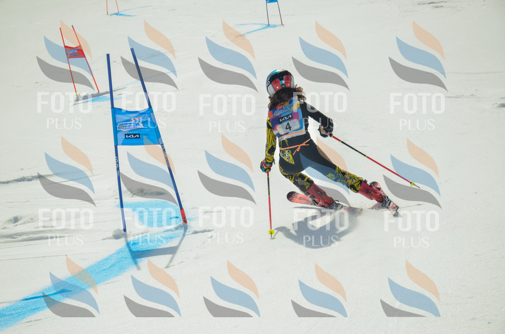 _ELE4413 | holidayphoto