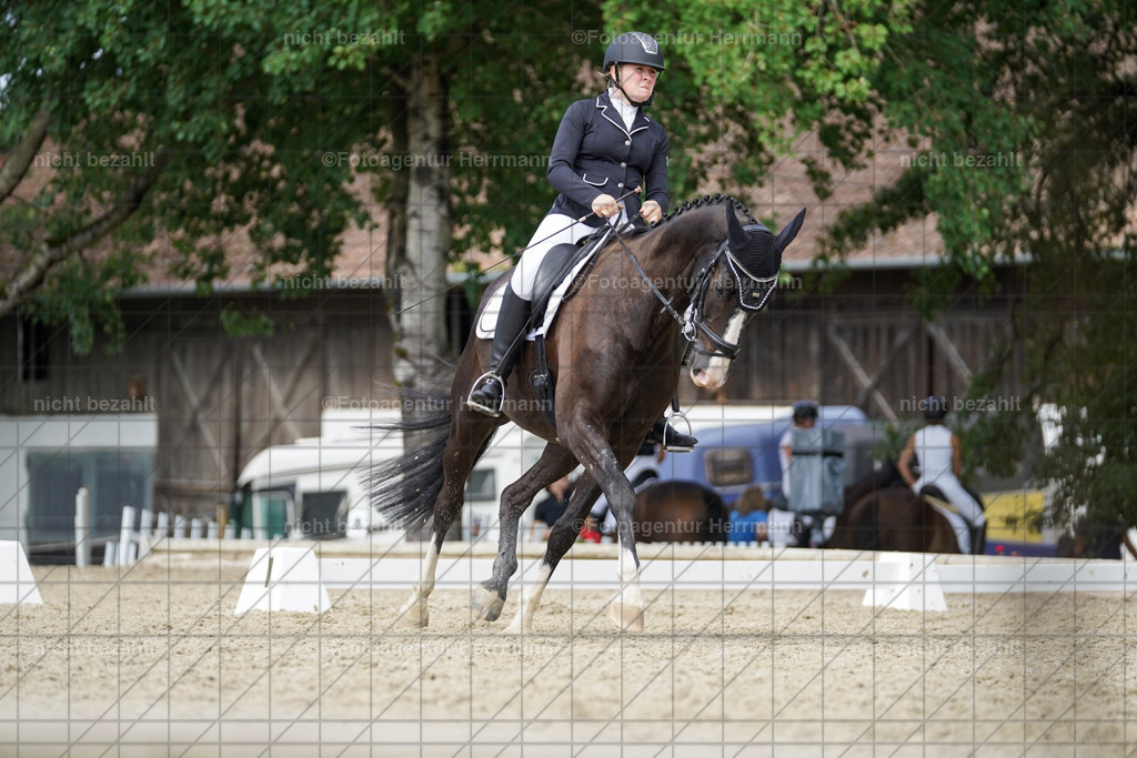 20230826-FAH05249 | Forstinning, 2023, Dressurturnier, Turniersportbilder, Turnierfotografen Bayern, Fotoagentur Herrmann, Reitsportfotografie, Turnierbilder