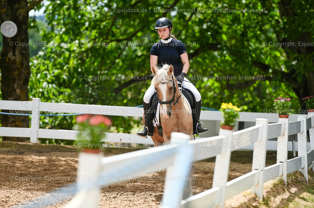 20230715_09_Dressur-WB_0535 | equistock