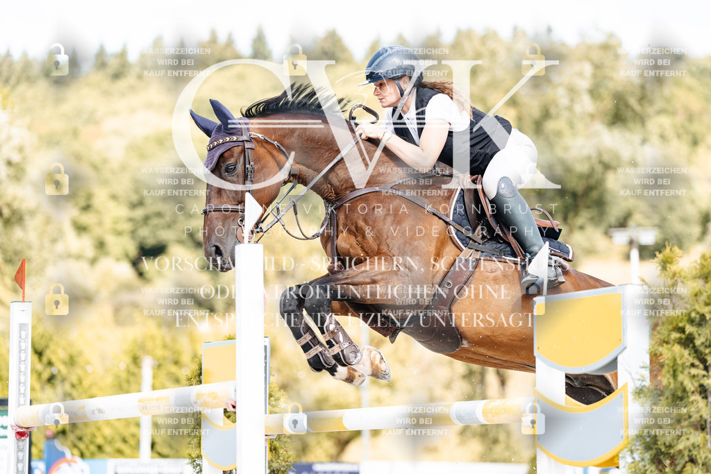 CK909100 | Turnierfotografie Pferdefotografie Trier Rheinland-Pfalz Pferdesport Reitsport Tierfotografie Sportfotografie Pferdevideo Pferdevideografie Equestrianvideography equestrianphotography  - Realisiert mit Pictrs.com