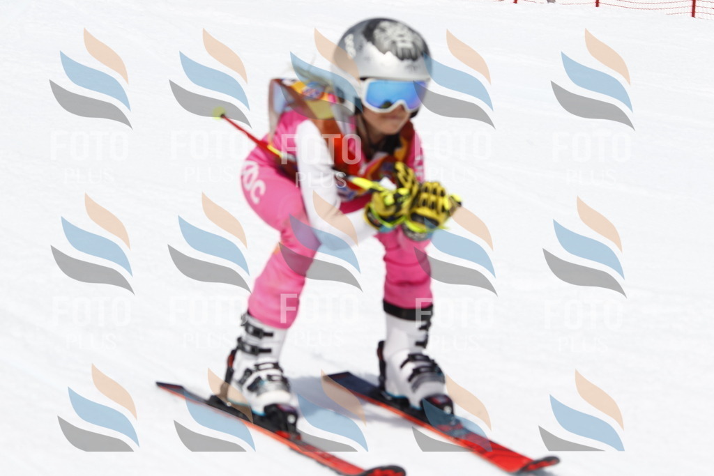 _U3G7890 | holidayphoto