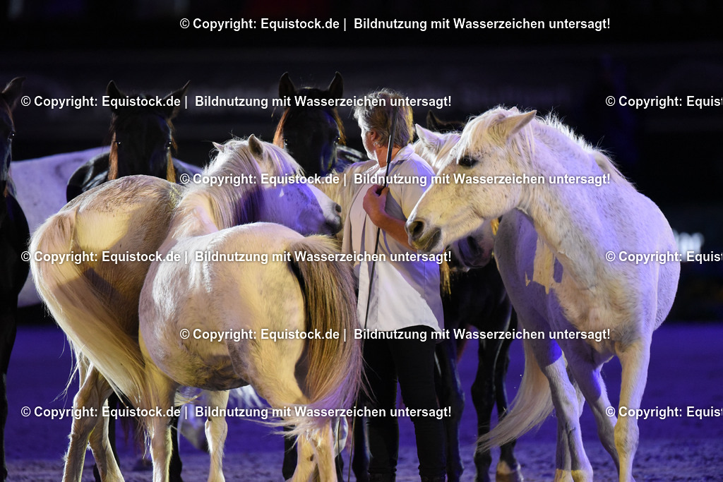 20231115_Show-Jean-Francois-Pignon_0153_TOMsPiC | Foto: Thomas Hartig