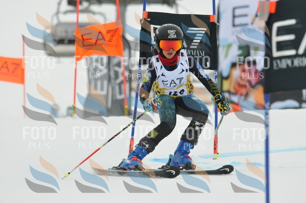 DSC_8213 | holidayphoto