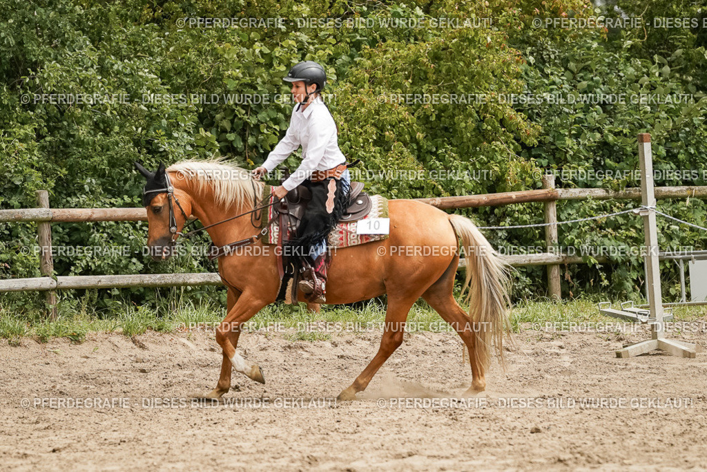 DSC00260 | Pferdegrafie