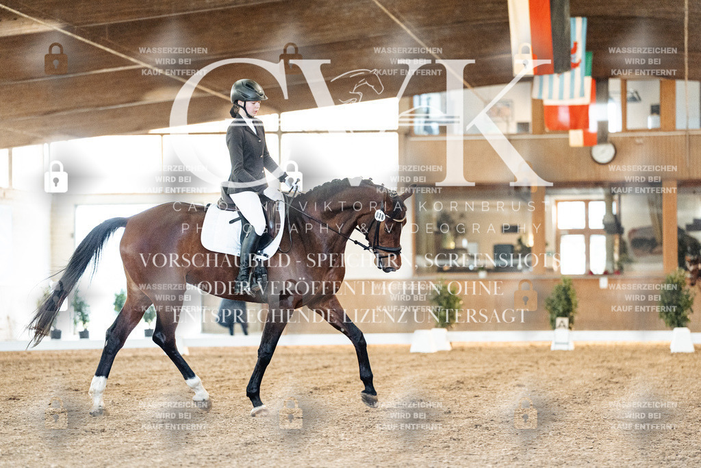 CK906481 | Turnierfotografie Pferdefotografie Trier Rheinland-Pfalz Pferdesport Reitsport Tierfotografie Sportfotografie Pferdevideo Pferdevideografie Equestrianvideography equestrianphotography  - Realisiert mit Pictrs.com
