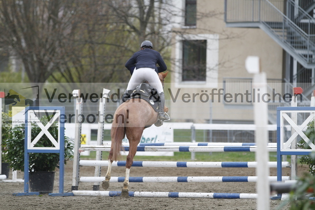 _MG_5145 | equestrian-live-com