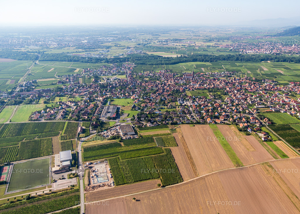 Luftbild: Ortsansicht der Straßen und Häuser der Wohngebiete in Scherwiller im Bundesland Bas-Rhin in Frankreich. Foto: IMG_093271.jpg vom 16.08.2016 durch Werner Riehm/FLY-FOTO.de