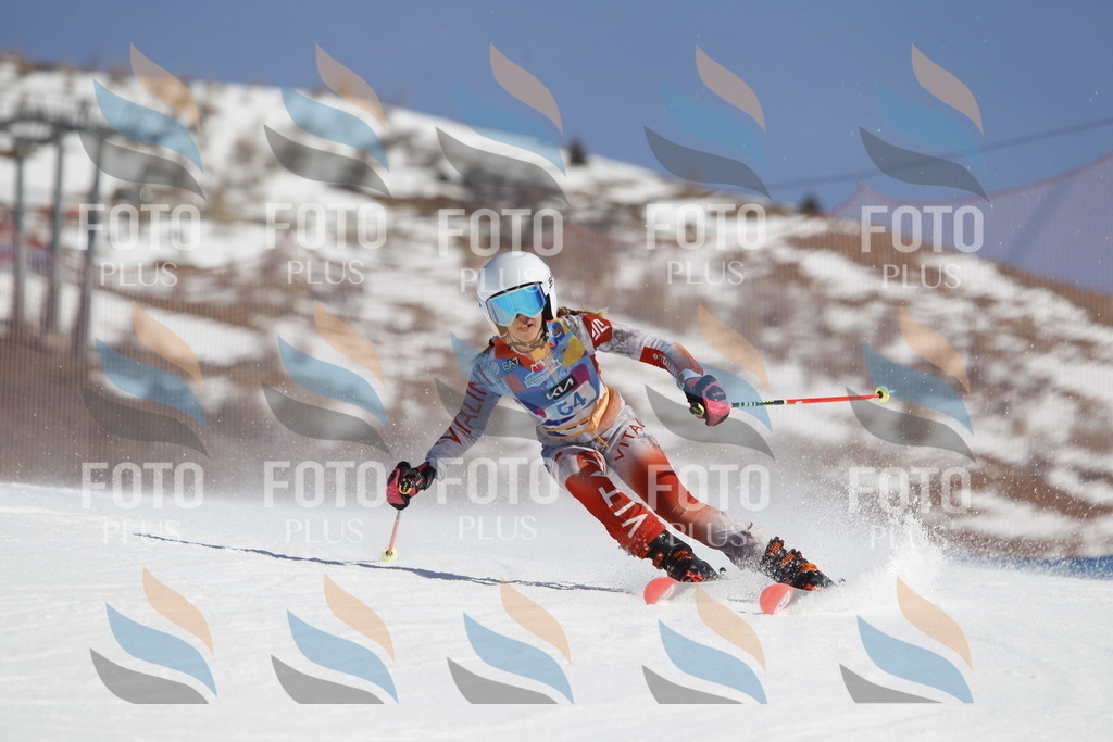 _U3G9456 | holidayphoto