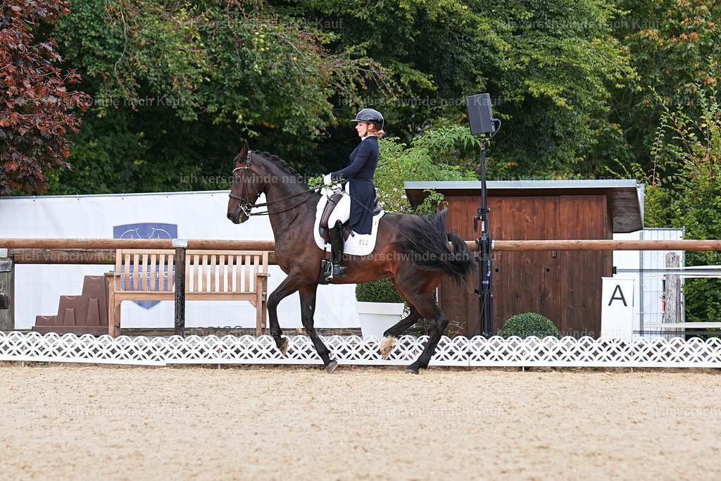 11-066-Dressur S___-Marixx-1649 | working equitationturnier fotograf videograf stoibphotography marixx film working equitation deutschland reitsport turnierfotografie eventfotografie equestrian events