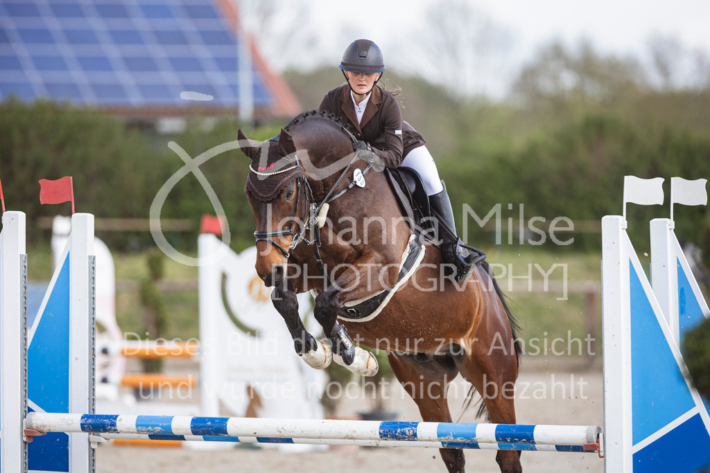 250419_Frühlingsfest_A-Stil1-462 | Deine schönsten Turniermomente als professionelle Fotos! Entdecke hochwertige Pferdesport-Fotografie im Online-Shop. Jetzt Fotos finden & bestellen!