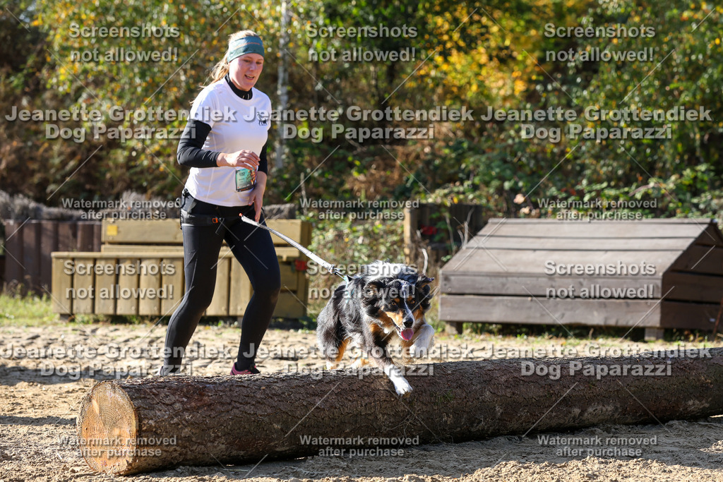 Dog Paparazzi - Strongdog 10-25-6021 | Dog Paparazzi Jeanette Grottendiek Fotografie & Videografie - Realisiert mit Pictrs.com