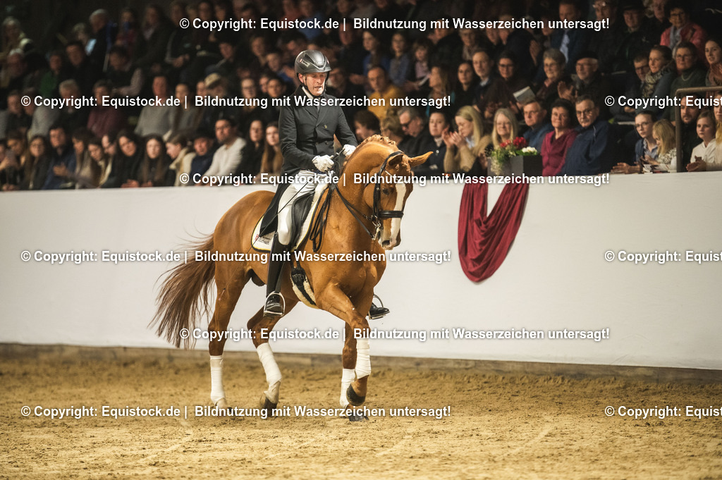 20240302_Hengstvorstellung_Marbach_TOMsPiC_0951 | equistock