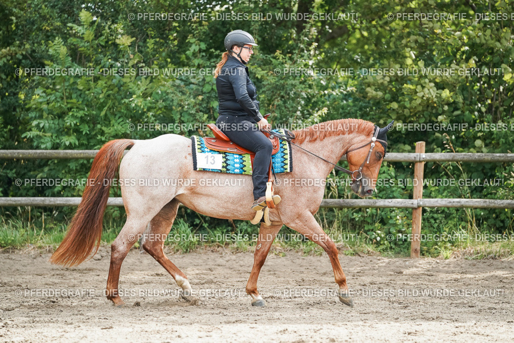 DSC04315 | Pferdegrafie