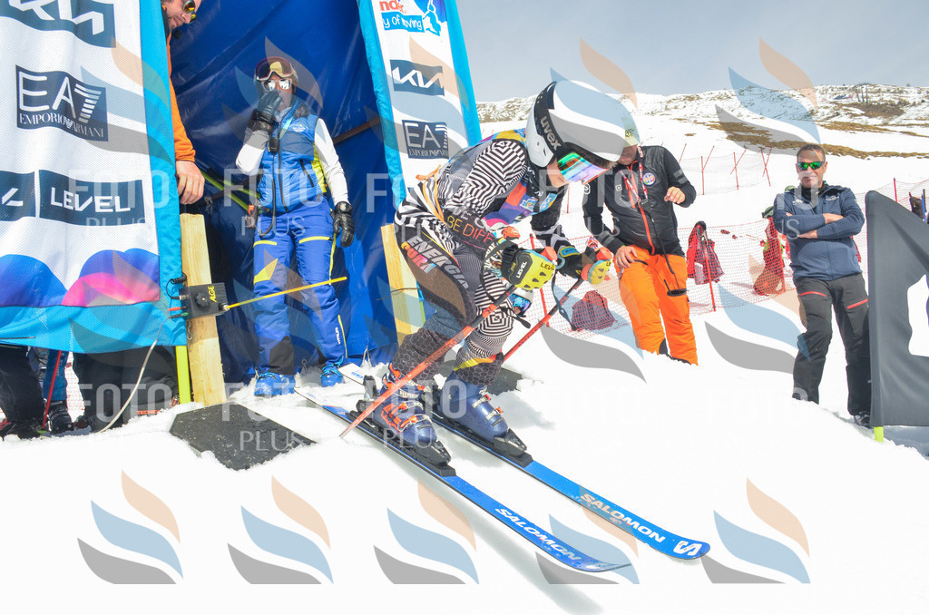 _ELE7509 | holidayphoto